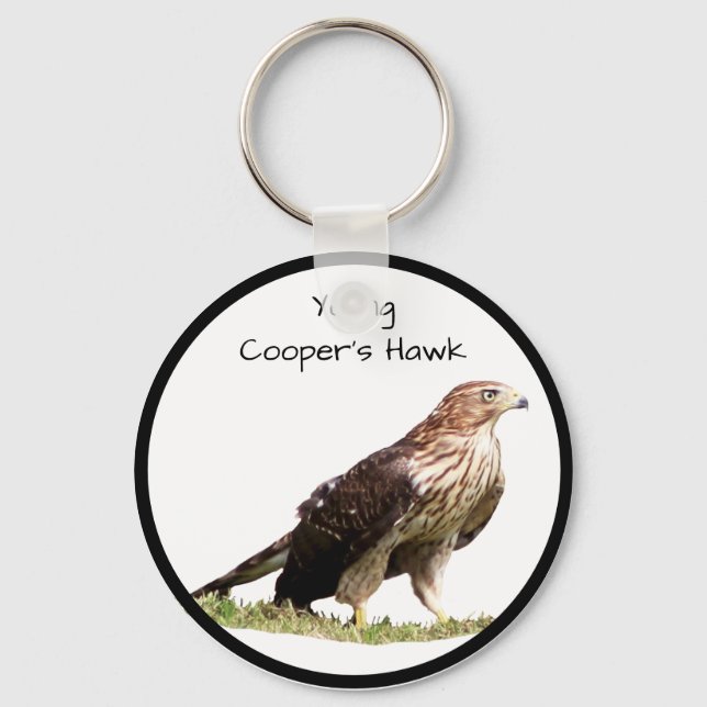 Young Cooper's Hawk Keychain (Front)