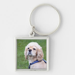 Young cute dog posing. keychain