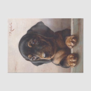 Young Dachshund by Carl Reichert Tissue Paper