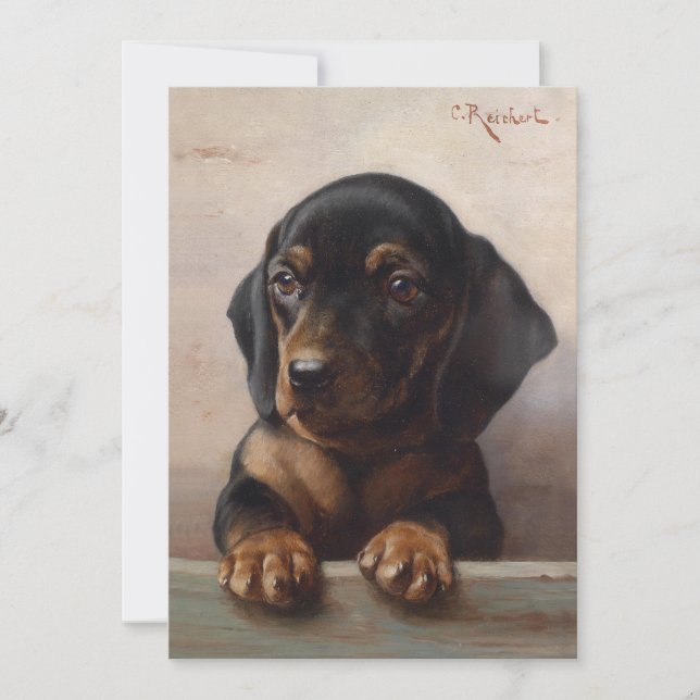Young Dachshund | Carl Reichert (Front)