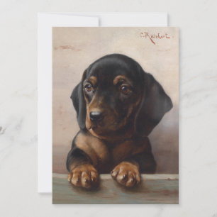 Young Dachshund   Carl Reichert