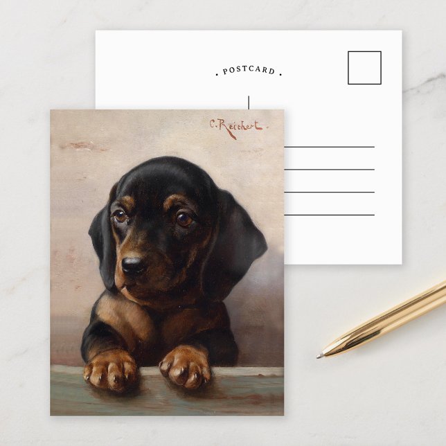 Young Dachshund | Carl Reichert Postcard (Creator Uploaded)