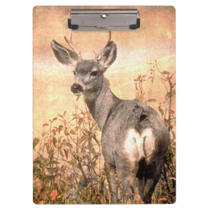 Young Deer in Wildflowers with Grungy Texture Art Clipboard