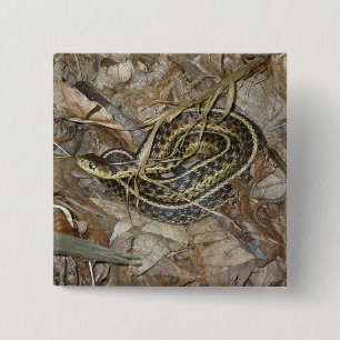 Young Eastern Garter Snake Coordinating Items 2 Inch Square Button