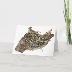 Young Eastern Garter Snake Coordinating Items Holiday Card