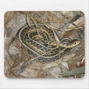 Young Eastern Garter Snake Coordinating Items Mouse Pad