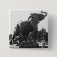 Young Elephant caught in a trap