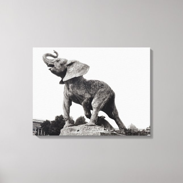 Young Elephant Caught in a Trap Canvas Print (Front)