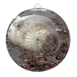 Young elephant seal dartboard