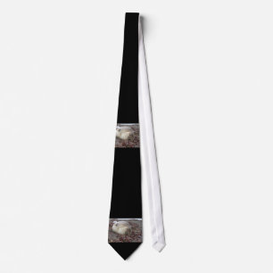 Young elephant seal tie