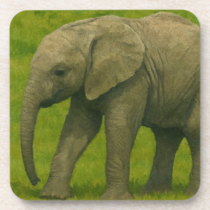 Young Elephant with Guardian in Grassy Reserve Coaster