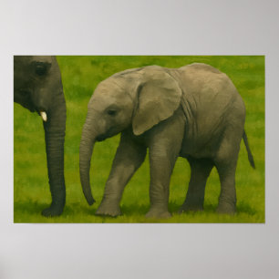 Young Elephant with Guardian in Grassy Reserve Poster