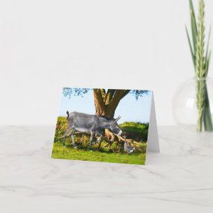 "Young Eno & Henri" Note Card