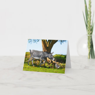 "Young Eno & Henri" Note Card