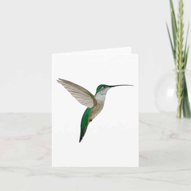 Young female Ruby-throated Hummingbird Card (Front)