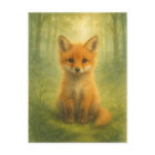 Young Fox Baby Wild Animals Postcard