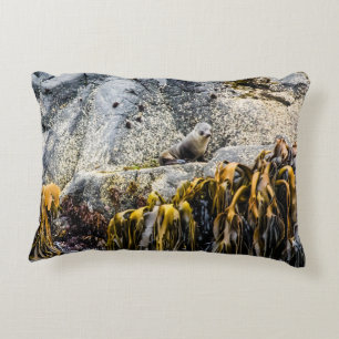 Young Fur Seal On The Rock Accent Pillow