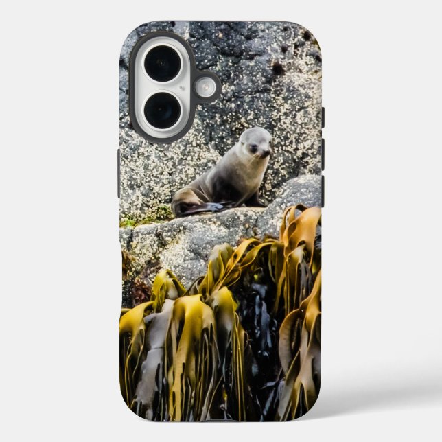 Young Fur Seal On The Rock Case-Mate iPhone Case (Back)