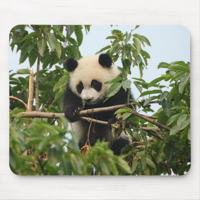 Young giant panda mousepad (Front)