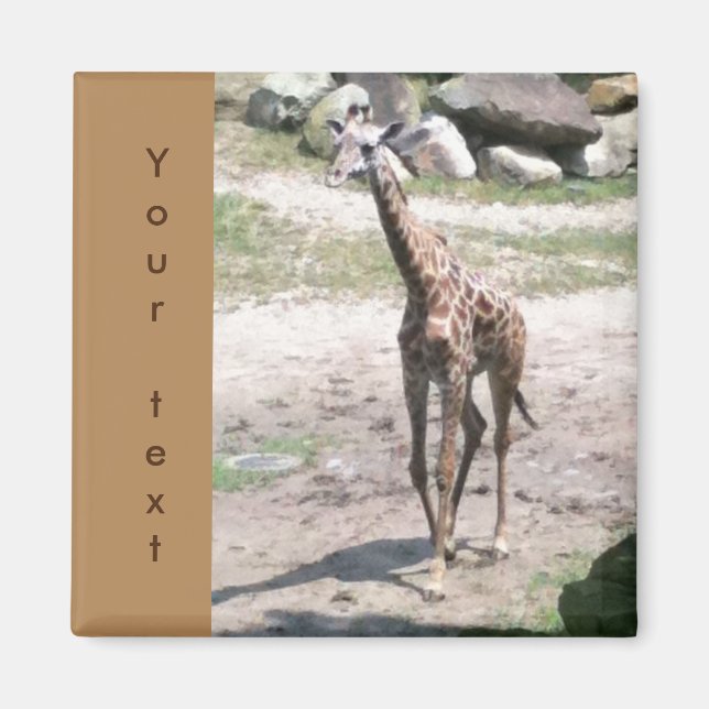Young Giraffe Walking Your Text Magnets (Front)