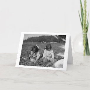 Young Girls Picking Cranberries Photograph Card