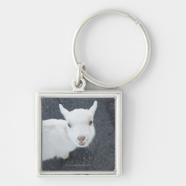 Young goat keychain (Front)