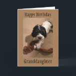 ‘YOUNG GRANDDAUGHTER’ HAPPY BIRTHDAY CARD<br><div class="desc">TELL YOUR ***GRANDDAUGHTER*** "WITH THIS CARD" THAT YOU WISH HER A "VERY HAPPY BIRTHDAY" AND YOU **LOVE** HER. THANKS FOR STOPPING BY ONE OF MY EIGHT STORES.</div>