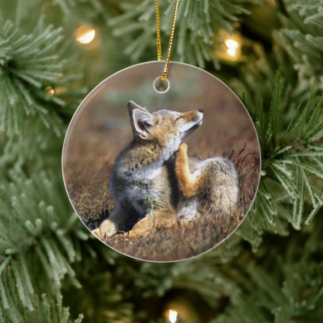 Young Gray Fox at Torres Del Paine National Park Ceramic Ornament (Tree)