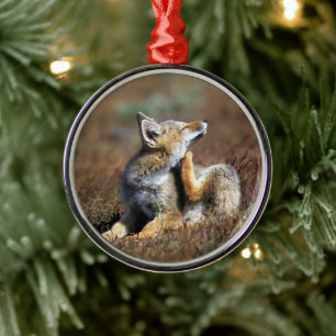 Young Gray Fox at Torres Del Paine National Park Metal Ornament