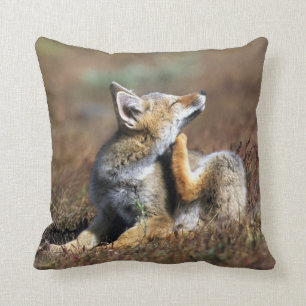 Young Grey Fox at Torres Del Paine National Park Throw Pillow