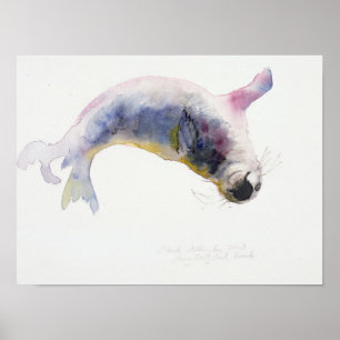 Young grey seal Gweek 2003 Poster