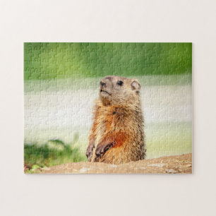 Young Groundhog Jigsaw Puzzle