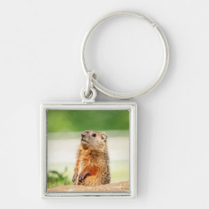 Young Groundhog Keychain