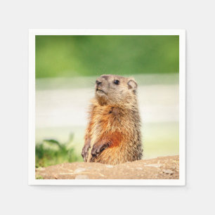 Young Groundhog Napkin