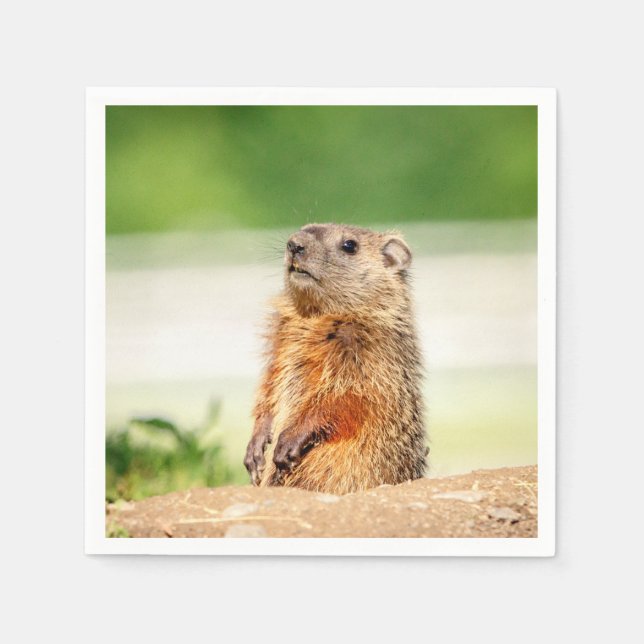 Young Groundhog Napkin (Front)