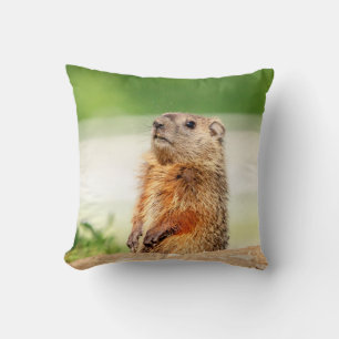 Young Groundhog Throw Pillow
