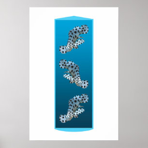 Young Grouper - Design gradient blue background Poster