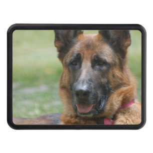 Young GSD Trailer Hitch Cover