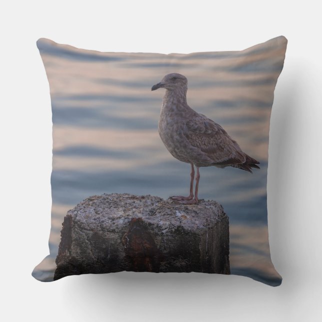 Young Gull on Wooden Post Throw Pillow (Front)