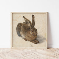 Young Hare | Albrecht Dürer