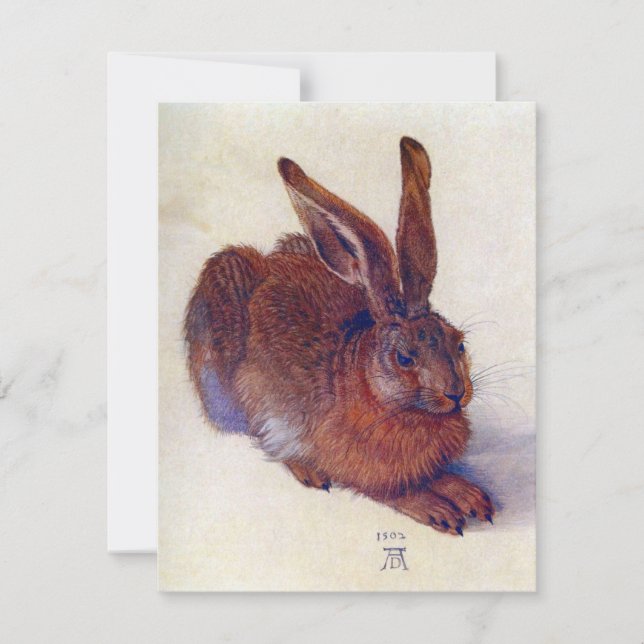 Young Hare by Albrecht Durer, Renaissance Fine Art (Front)