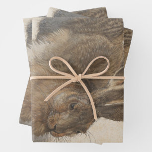 Young Hare by Albrecht Durer, Renaissance Fine Art Wrapping Paper Sheet