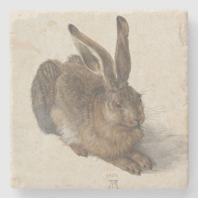 Young Hare by Albrecht Durer Stone Coaster (Front)