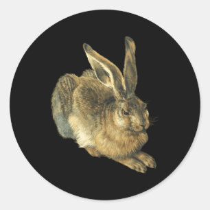 Young Hare Feldhase By Albrecht Durer Classic Round Sticker