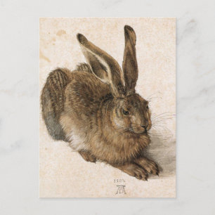 'Young Hare' Postcard