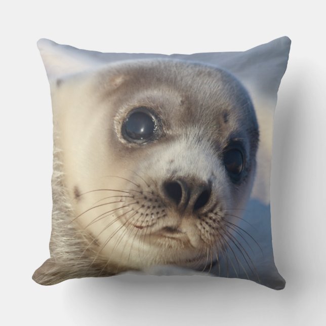 Young Harp Seal Throw Pillow (Front)