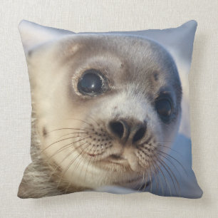 Young Harp Seal Throw Pillow