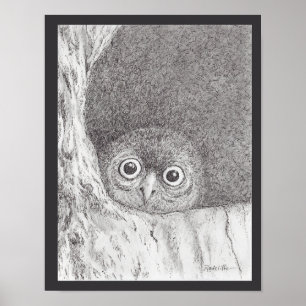 Young Hawk Owl Print