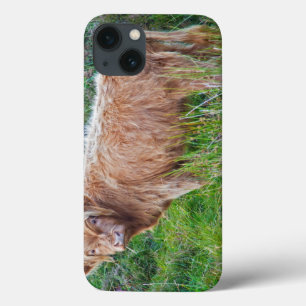 Young Highland Cow iPad Case