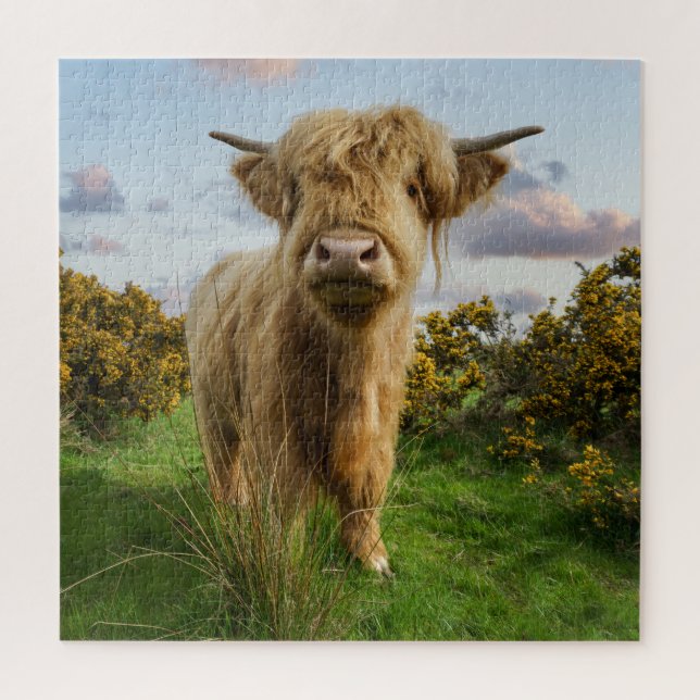 Young Highland Cow Jigsaw Puzzle (Vertical)